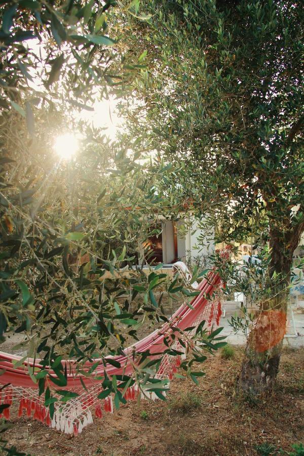Stella Del Sud Guesthouse Marina di San Gregorio Exterior foto